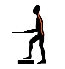 Wzorcowe Stanowisko Pracy