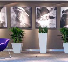 dodatkowe-elementy-wyposazenia-wnetrz