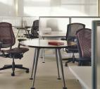 Herman Miller - Celle - 4