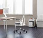 Herman Miller - Sayl - 4