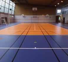 IN_HP-Indoor-Sport-Floors-Lumaflex-Energy_Omnisports_Compact_001