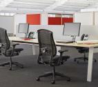Herman Miller - Celle - 6