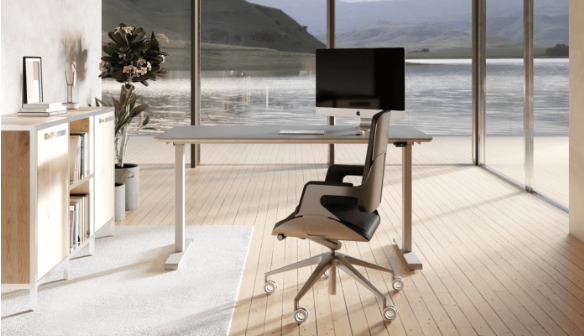 Zobacz naszą ofertę!